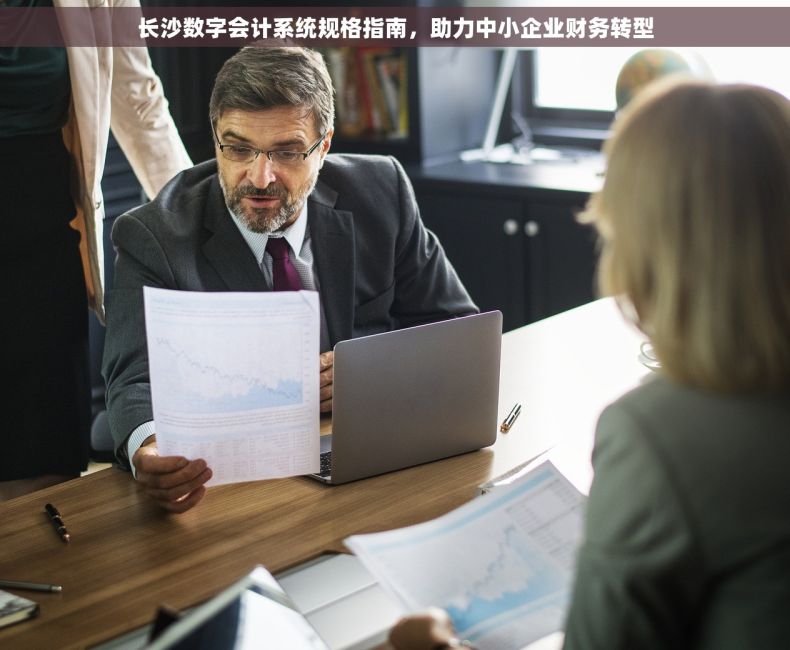 长沙数字会计系统规格指南，助力中小企业财务转型