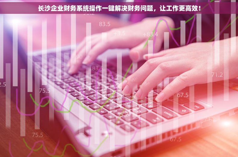 长沙企业财务系统操作一键解决财务问题，让工作更高效！