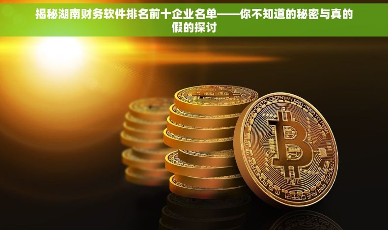 揭秘湖南财务软件排名前十企业名单——你不知道的秘密与真的假的探讨