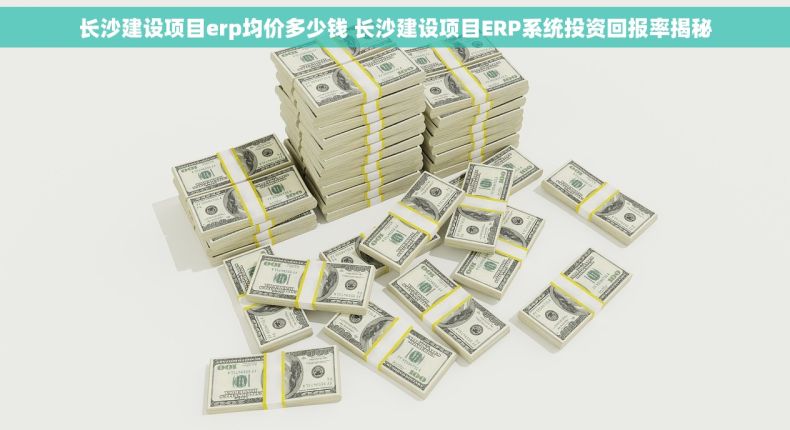 长沙建设项目erp均价多少钱 长沙建设项目ERP系统投资回报率揭秘