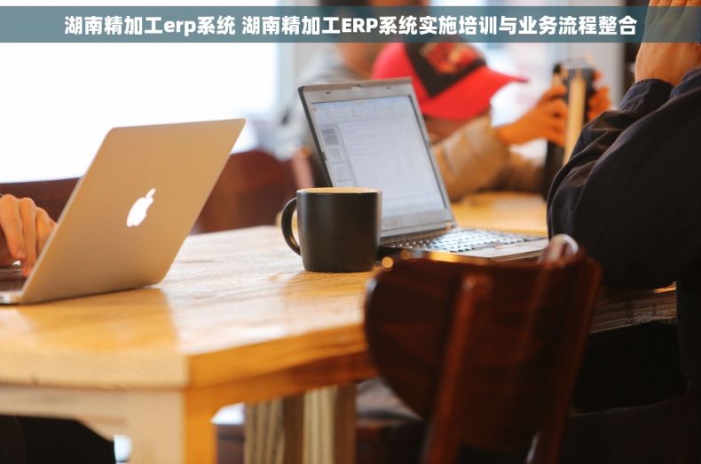 湖南精加工erp系统 湖南精加工ERP系统实施培训与业务流程整合