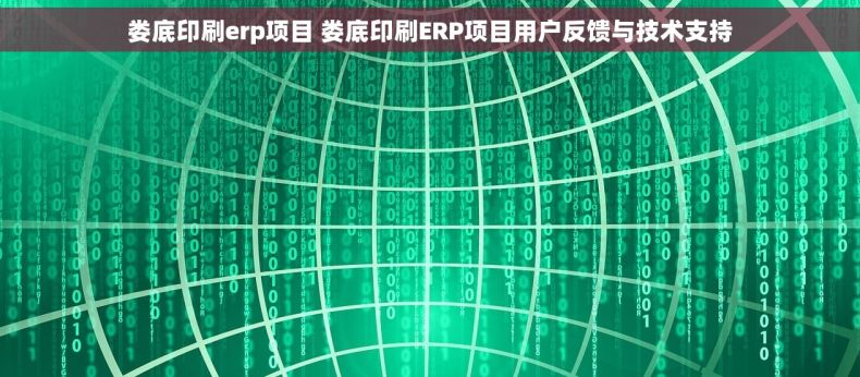娄底印刷erp项目 娄底印刷ERP项目用户反馈与技术支持