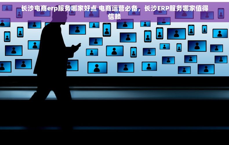 长沙电商erp服务哪家好点 电商运营必备，长沙ERP服务哪家值得信赖