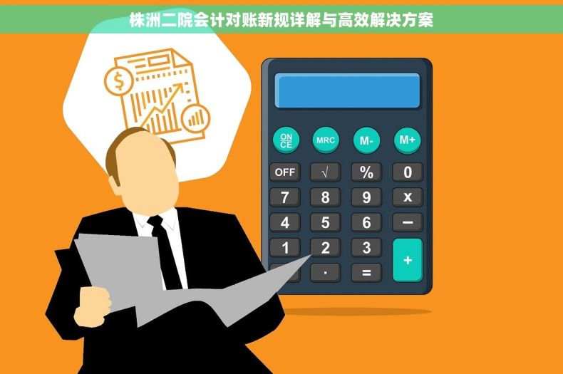 株洲二院会计对账新规详解与高效解决方案
