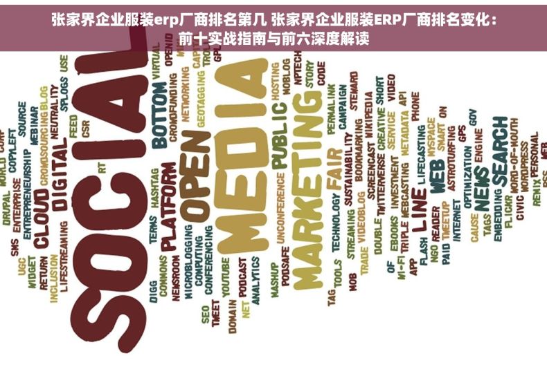 张家界企业服装erp厂商排名第几 张家界企业服装ERP厂商排名变化：前十实战指南与前六深度解读