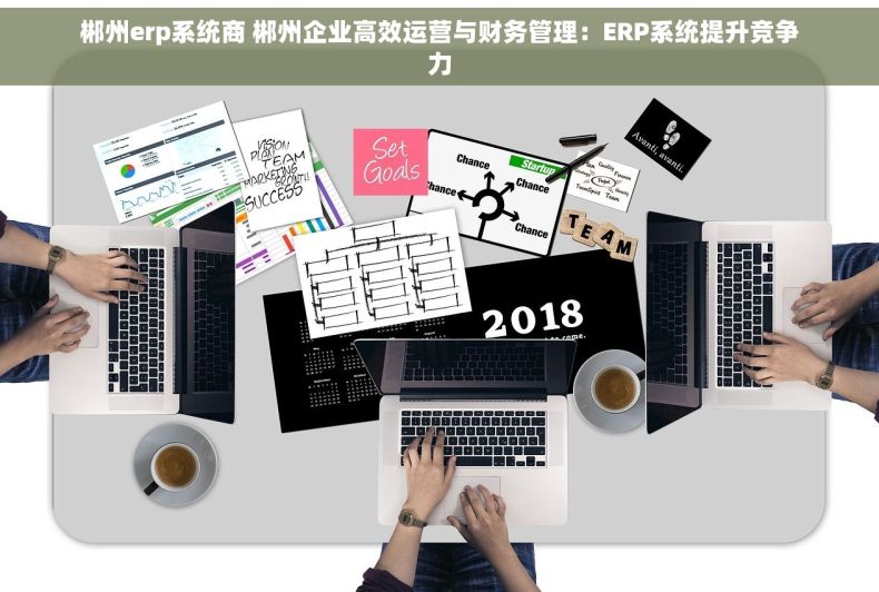 郴州erp系统商 郴州企业高效运营与财务管理：ERP系统提升竞争力