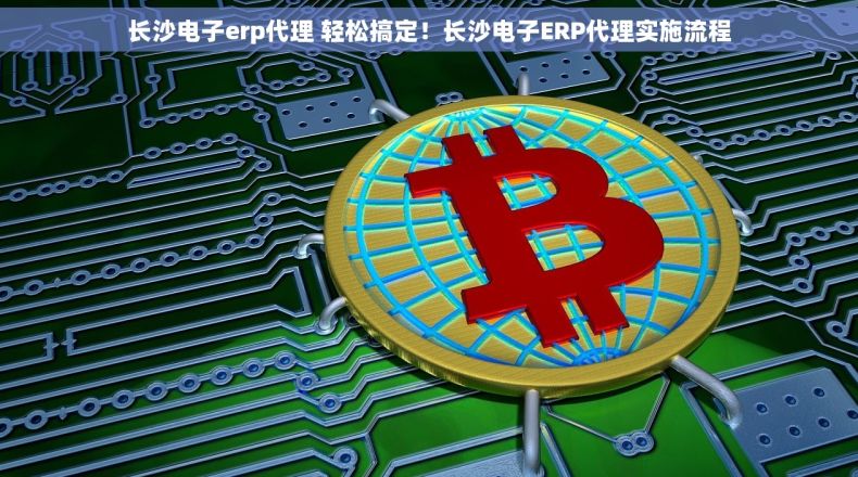 长沙电子erp代理 轻松搞定！长沙电子ERP代理实施流程