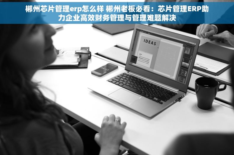 郴州芯片管理erp怎么样 郴州老板必看：芯片管理ERP助力企业高效财务管理与管理难题解决