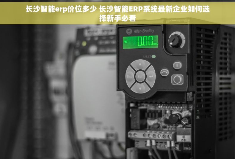 长沙智能erp价位多少 长沙智能ERP系统最新企业如何选择新手必看