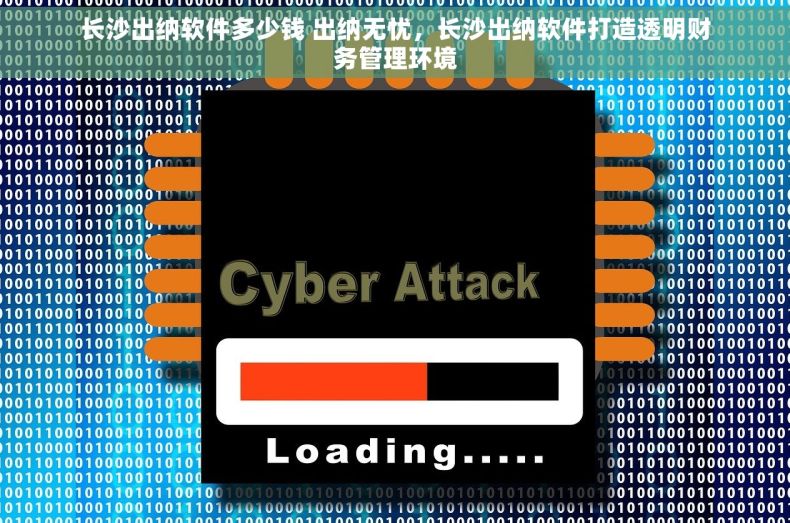 长沙出纳软件多少钱 出纳无忧，长沙出纳软件打造透明财务管理环境