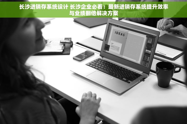 长沙进销存系统设计 长沙企业必看：最新进销存系统提升效率与业绩翻倍解决方案