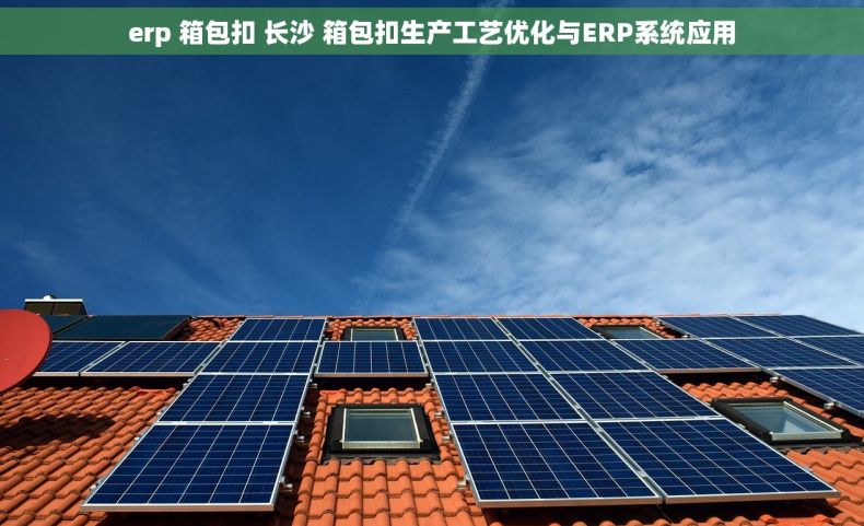 erp 箱包扣 长沙 箱包扣生产工艺优化与ERP系统应用