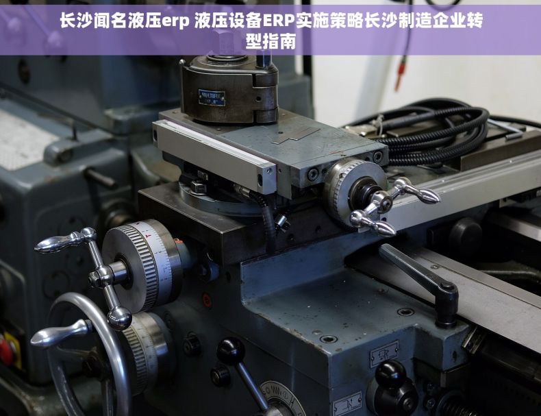 长沙闻名液压erp 液压设备ERP实施策略长沙制造企业转型指南