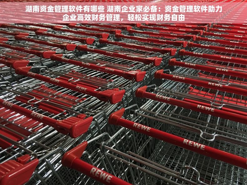 湖南资金管理软件有哪些 湖南企业家必备：资金管理软件助力企业高效财务管理，轻松实现财务自由