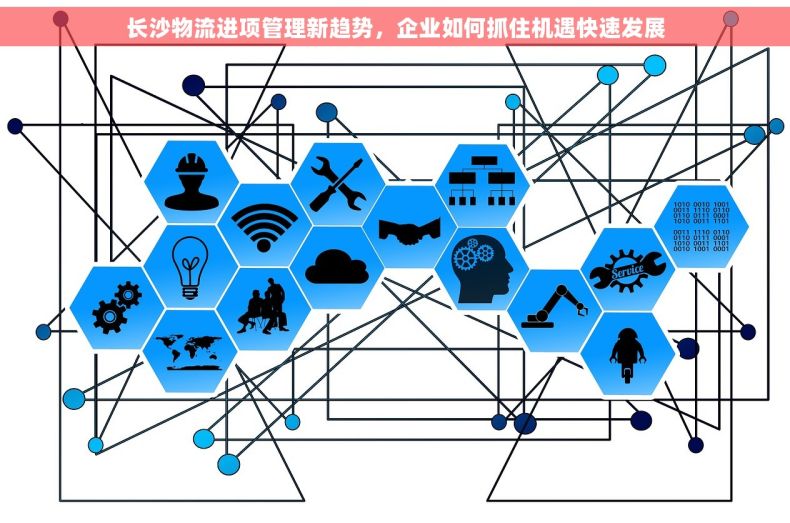 长沙物流进项管理新趋势，企业如何抓住机遇快速发展