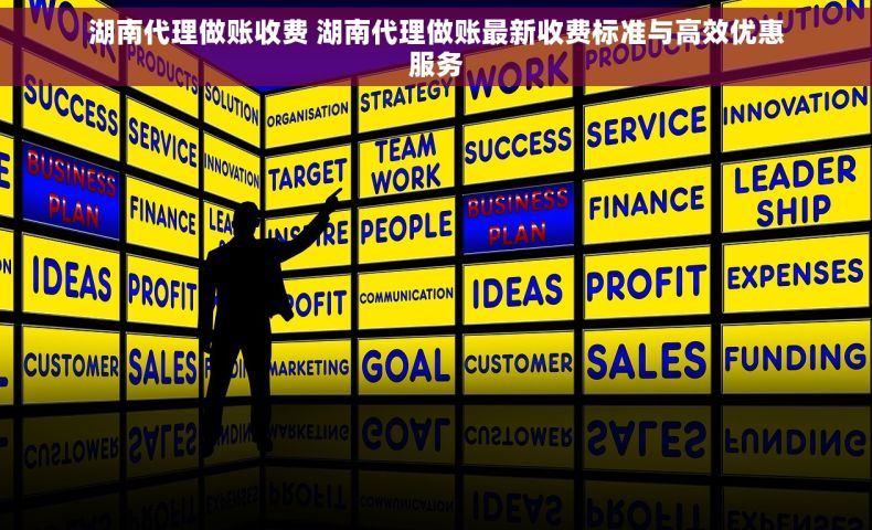 湖南代理做账收费 湖南代理做账最新收费标准与高效优惠服务