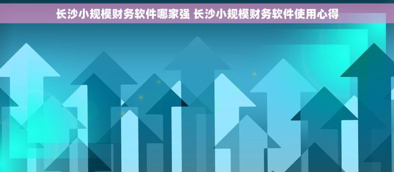 长沙小规模财务软件哪家强 长沙小规模财务软件使用心得