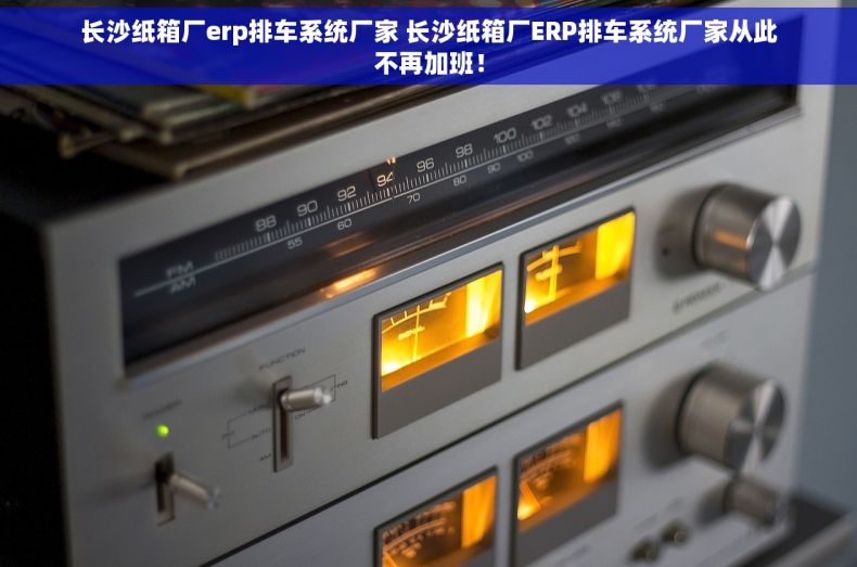 长沙纸箱厂erp排车系统厂家 长沙纸箱厂ERP排车系统厂家从此不再加班！