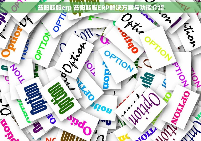 益阳鞋服erp 益阳鞋服ERP解决方案与功能介绍