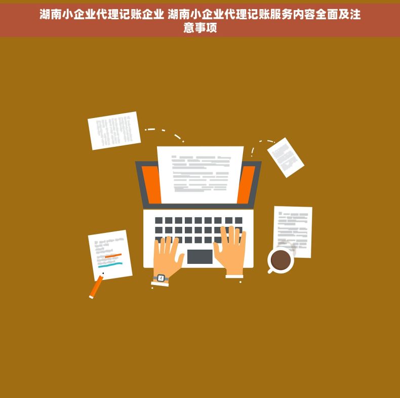 湖南小企业代理记账企业 湖南小企业代理记账服务内容全面及注意事项
