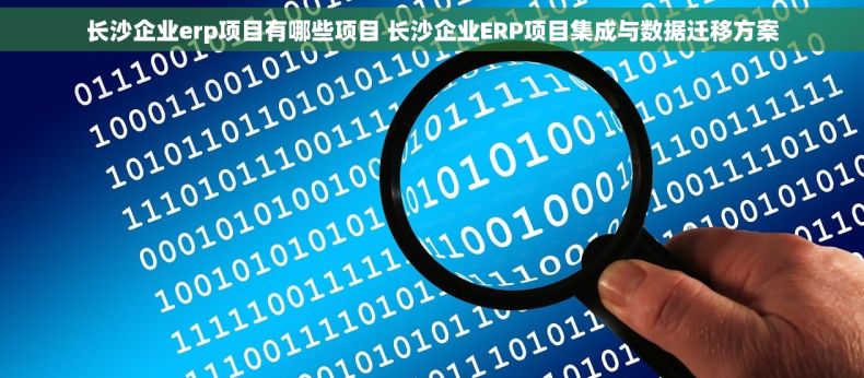 长沙企业erp项目有哪些项目 长沙企业ERP项目集成与数据迁移方案