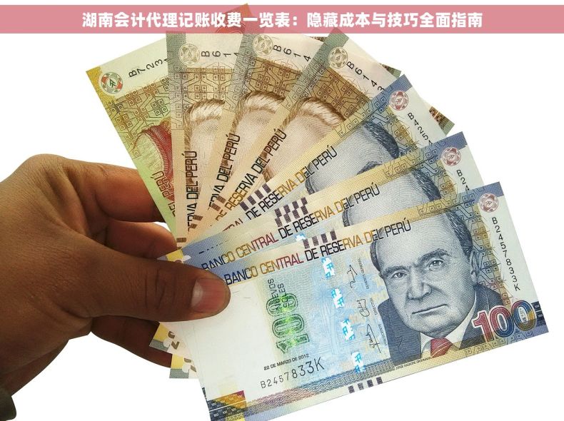 湖南会计代理记账收费一览表：隐藏成本与技巧全面指南
