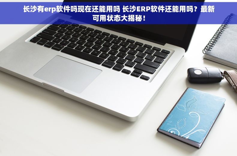 长沙有erp软件吗现在还能用吗 长沙ERP软件还能用吗？最新可用状态大揭秘！