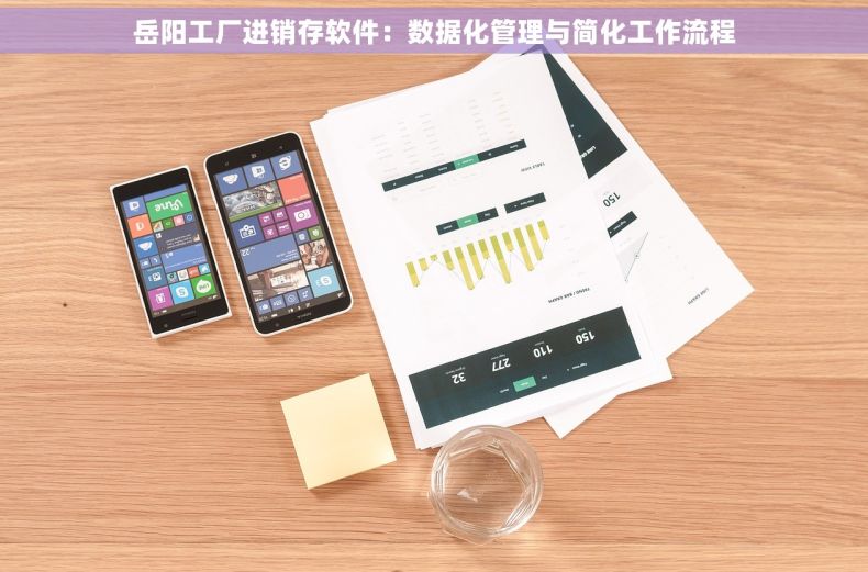 岳阳工厂进销存软件：数据化管理与简化工作流程