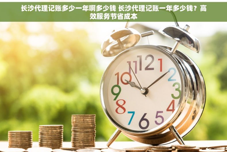 长沙代理记账多少一年啊多少钱 长沙代理记账一年多少钱？高效服务节省成本