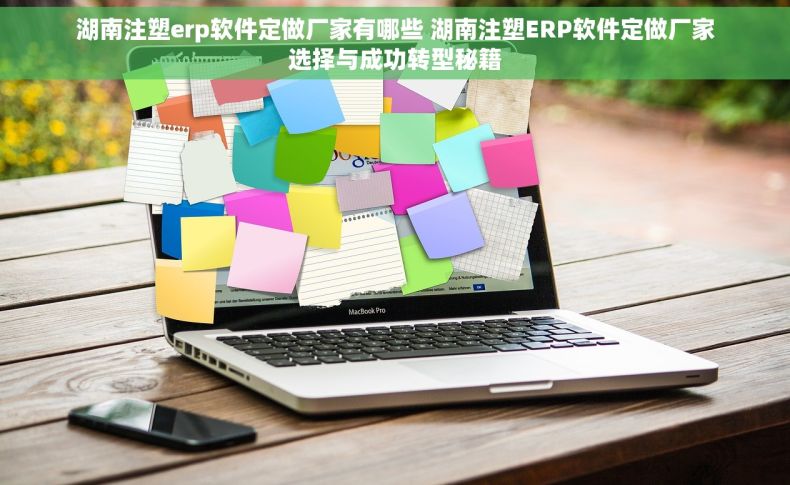 湖南注塑erp软件定做厂家有哪些 湖南注塑ERP软件定做厂家选择与成功转型秘籍
