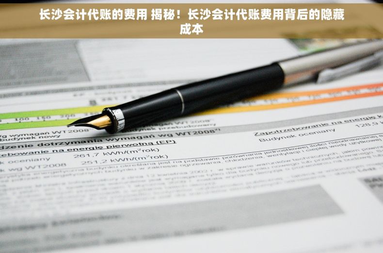长沙会计代账的费用 揭秘！长沙会计代账费用背后的隐藏成本