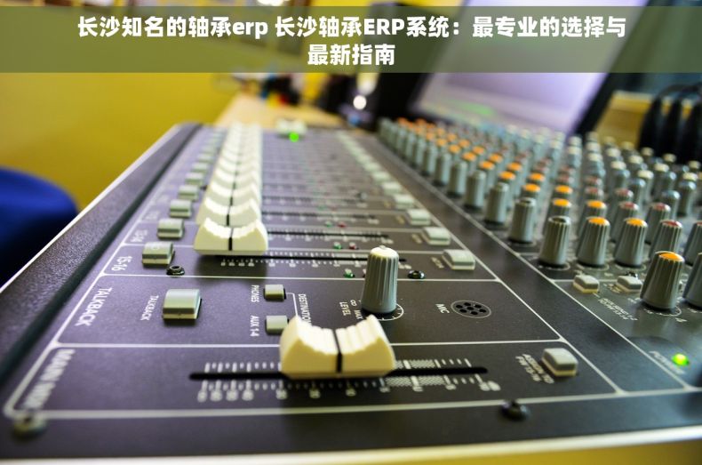 长沙知名的轴承erp 长沙轴承ERP系统：最专业的选择与最新指南