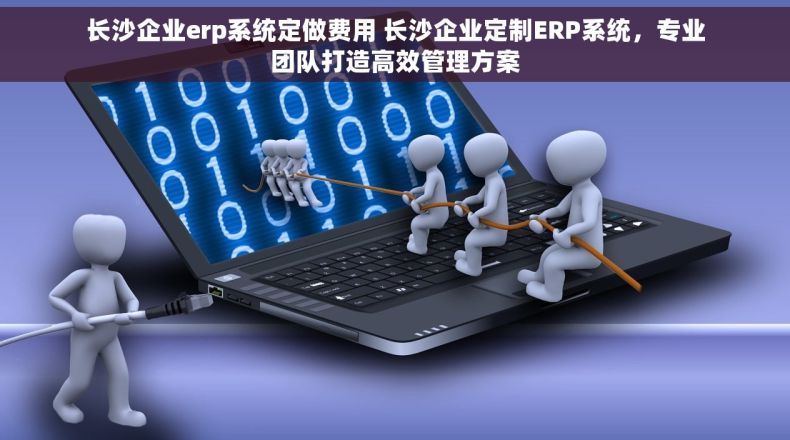长沙企业erp系统定做费用 长沙企业定制ERP系统，专业团队打造高效管理方案
