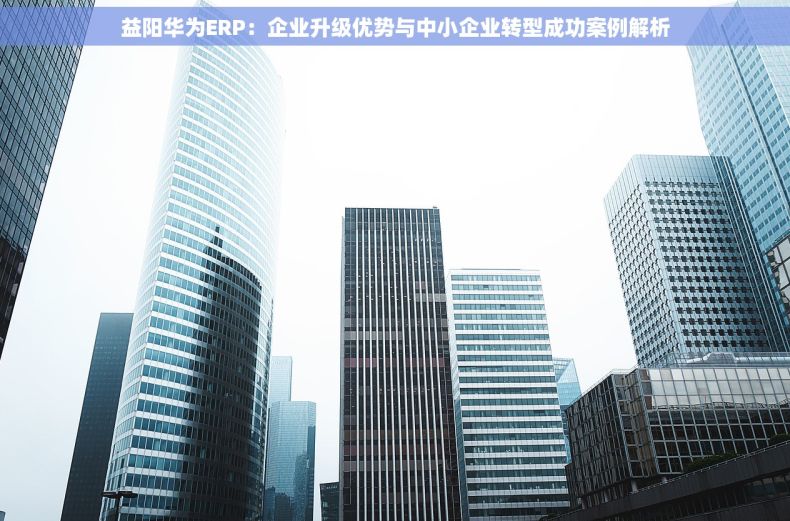 益阳华为ERP：企业升级优势与中小企业转型成功案例解析