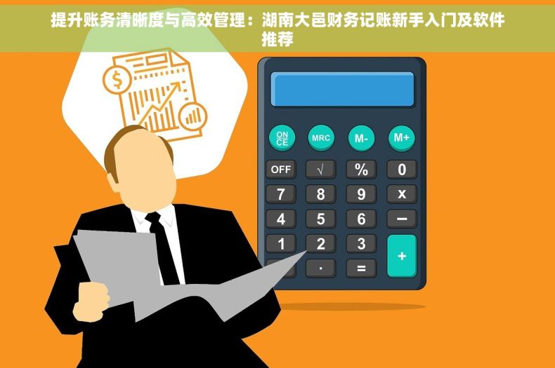 提升账务清晰度与高效管理：湖南大邑财务记账新手入门及软件推荐