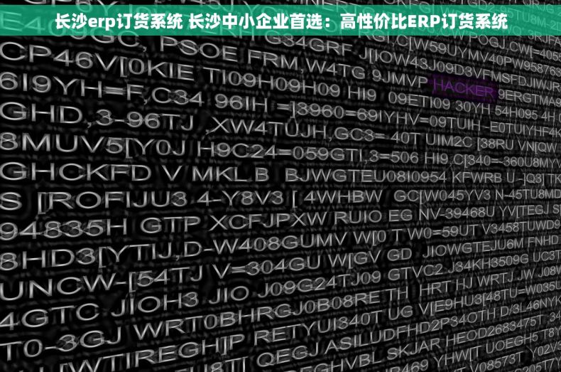 长沙erp订货系统 长沙中小企业首选：高性价比ERP订货系统