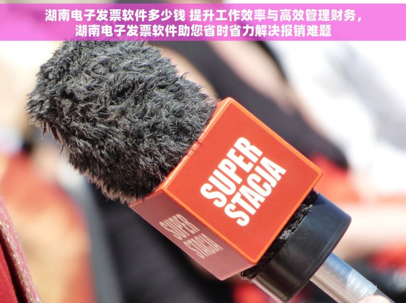 湖南电子发票软件多少钱 提升工作效率与高效管理财务，湖南电子发票软件助您省时省力解决报销难题