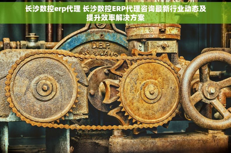 长沙数控erp代理 长沙数控ERP代理咨询最新行业动态及提升效率解决方案