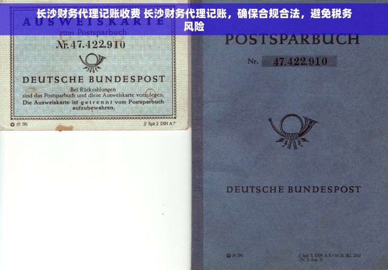 长沙财务代理记账收费 长沙财务代理记账，确保合规合法，避免税务风险