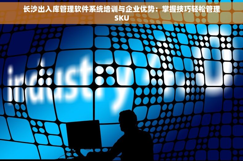 长沙出入库管理软件系统培训与企业优势：掌握技巧轻松管理SKU