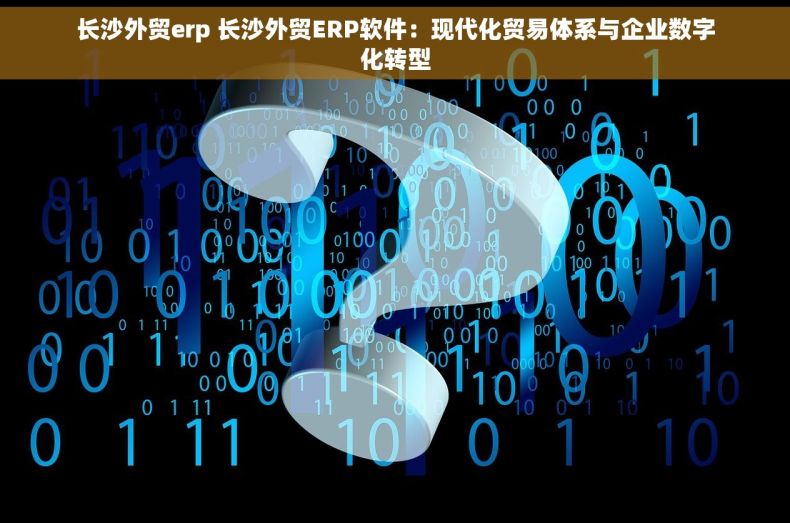 长沙外贸erp 长沙外贸ERP软件：现代化贸易体系与企业数字化转型