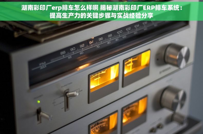 湖南彩印厂erp排车怎么样啊 揭秘湖南彩印厂ERP排车系统：提高生产力的关键步骤与实战经验分享