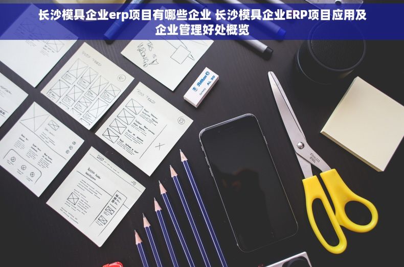 长沙模具企业erp项目有哪些企业 长沙模具企业ERP项目应用及企业管理好处概览
