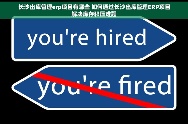 长沙出库管理erp项目有哪些 如何通过长沙出库管理ERP项目解决库存积压难题