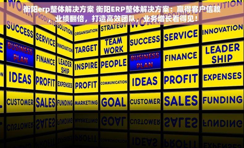 衡阳erp整体解决方案 衡阳ERP整体解决方案：赢得客户信赖，业绩翻倍，打造高效团队，业务增长看得见！