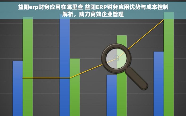 益阳erp财务应用在哪里查 益阳ERP财务应用优势与成本控制解析，助力高效企业管理