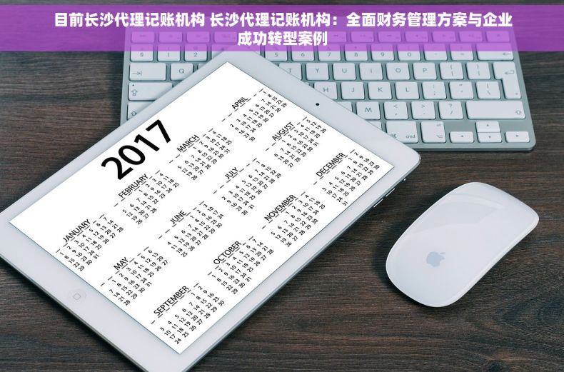 目前长沙代理记账机构 长沙代理记账机构：全面财务管理方案与企业成功转型案例