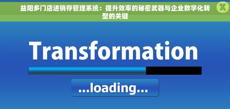 益阳多门店进销存管理系统：提升效率的秘密武器与企业数字化转型的关键