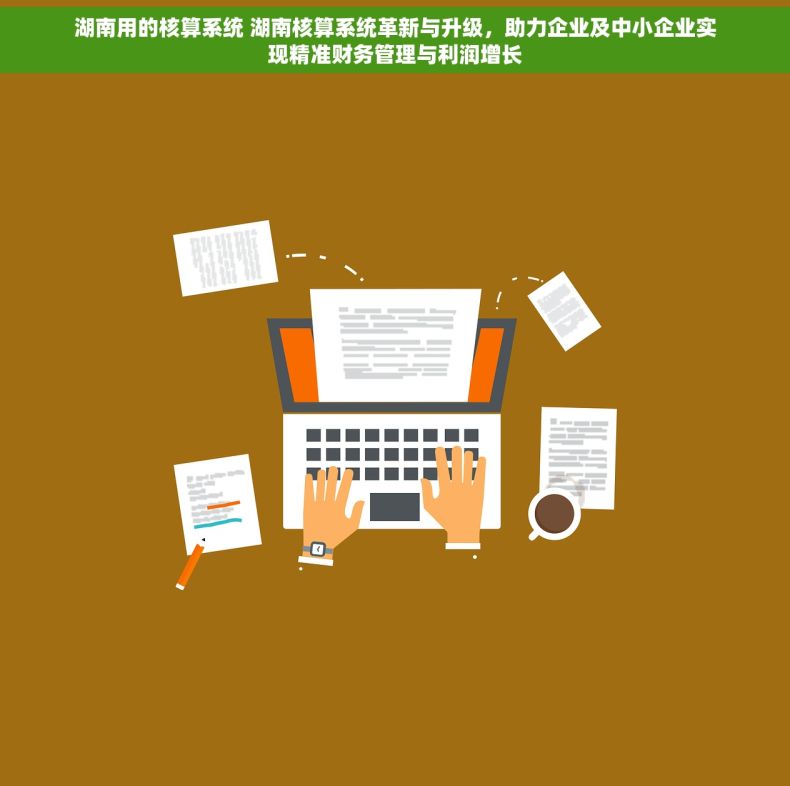 湖南用的核算系统 湖南核算系统革新与升级，助力企业及中小企业实现精准财务管理与利润增长