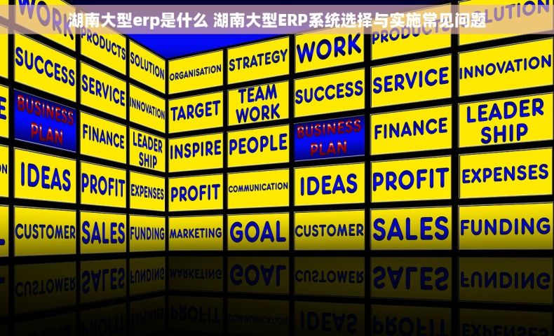 湖南大型erp是什么 湖南大型ERP系统选择与实施常见问题